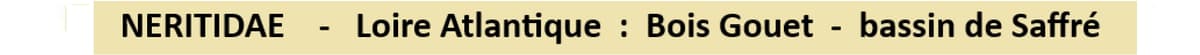 titre 1.jpg